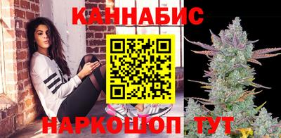 apvp Тулун