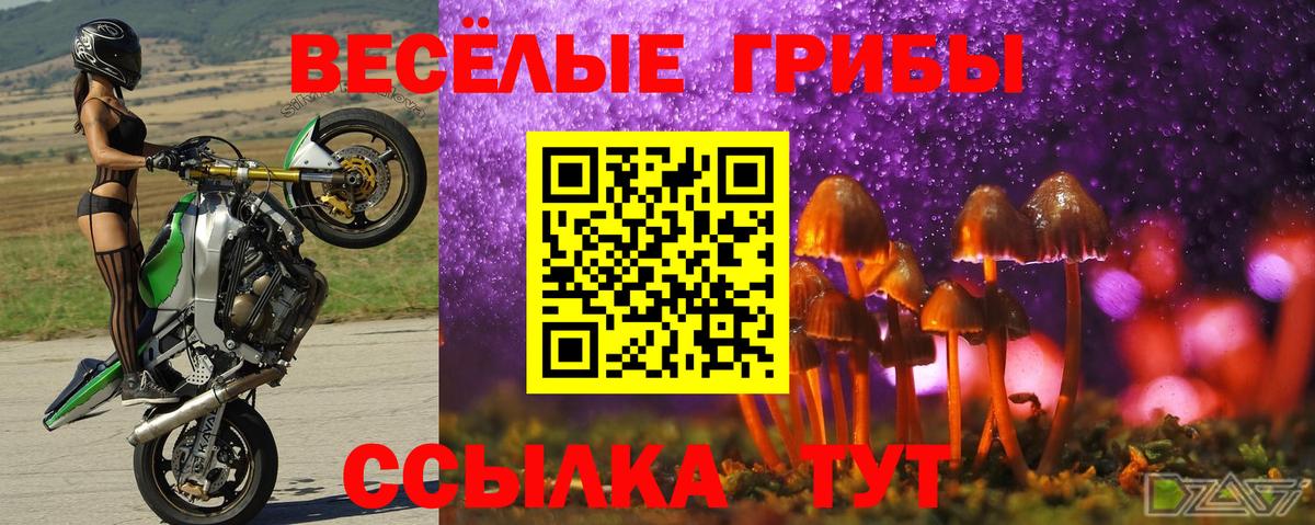 Псилоцибиновые грибы мухоморы  Галлюциногенные грибы Cubensis  Вход с VPN  Пушкино 